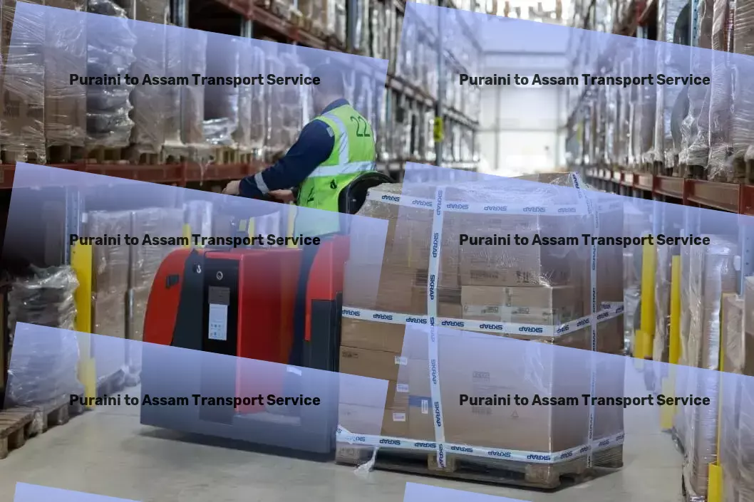 Puraini to Assam Household Goods Transport Full-service freight logistics